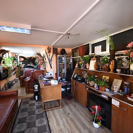 Pensiunea Dealul Viilor Deva Buitenkant foto
